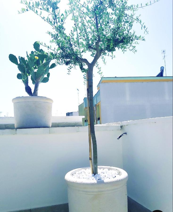 Appartement Dimora Asmara 11 15 *
