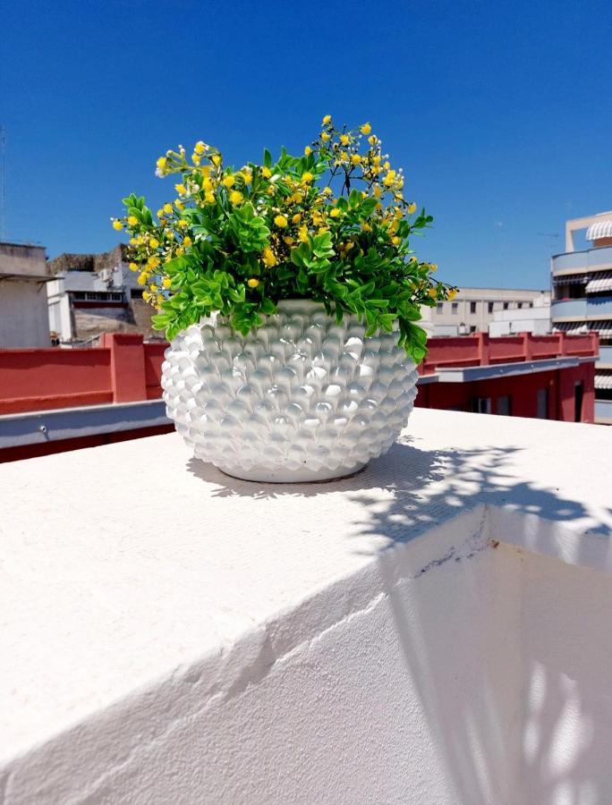 Dimora Asmara 11 15 * Brindisi